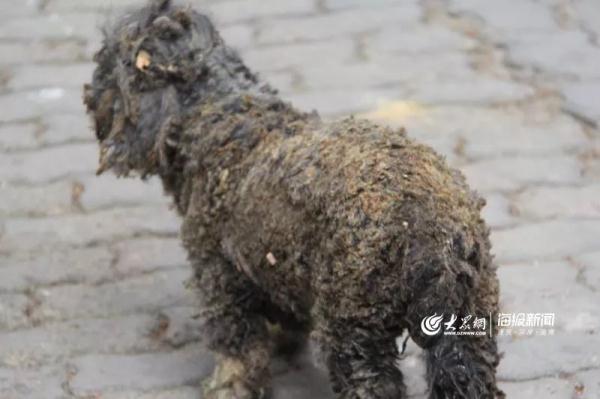 突發(fā)！青島一居民樓發(fā)生爆燃！已造1人死亡，7人受傷！3公里外有震感…