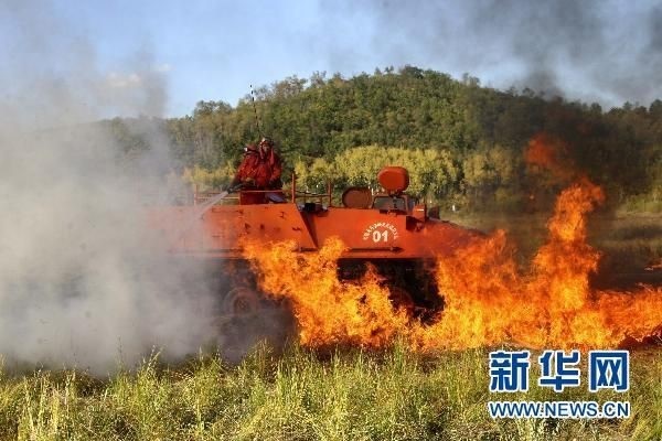 【動(dòng)畫】森林草原防火“十不準(zhǔn)”“五不燒”！這些安全知識(shí)要牢記